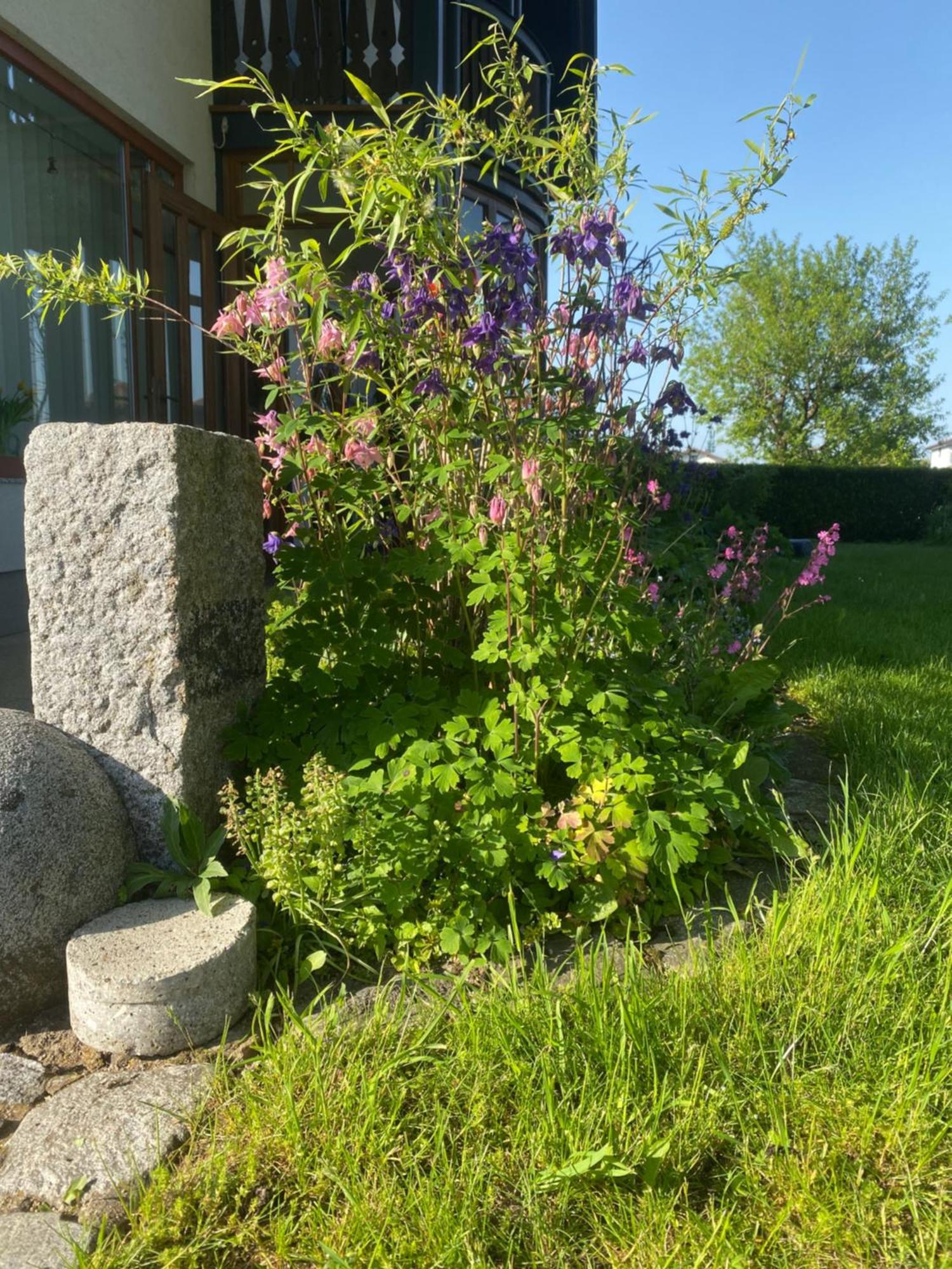 Traumhaft Grosse Naehe Attersee