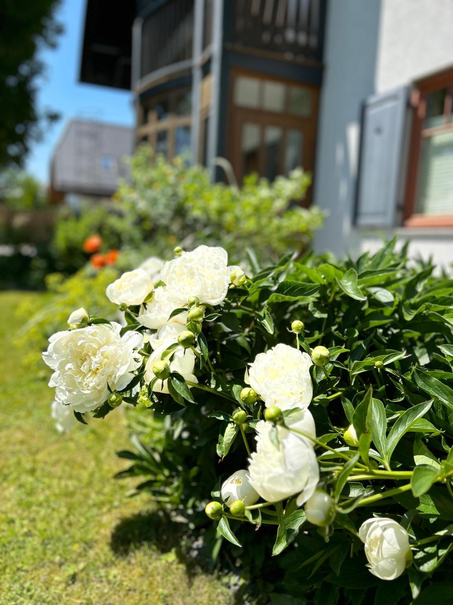 Apartmán Traumhaft Grosse Naehe Attersee Sankt Georgen im Attergau